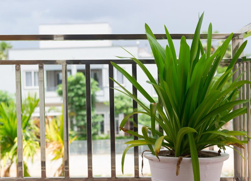Overflow Guesthouse Siem Reap Exteriör bild
