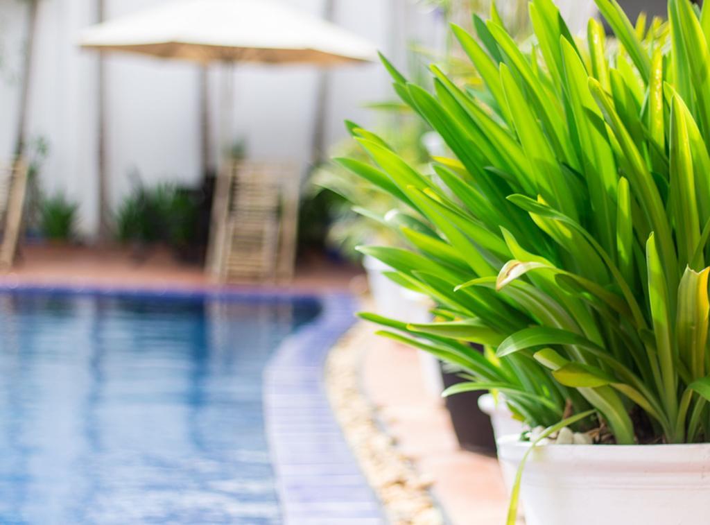 Overflow Guesthouse Siem Reap Exteriör bild
